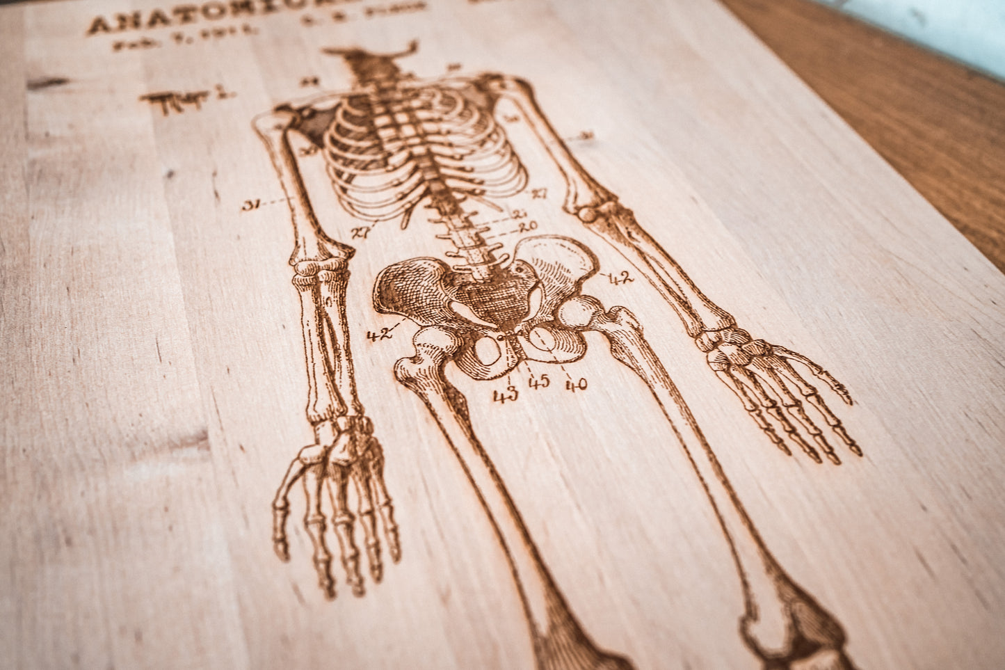 Holzplatten "Skelett I" 30x45cm
