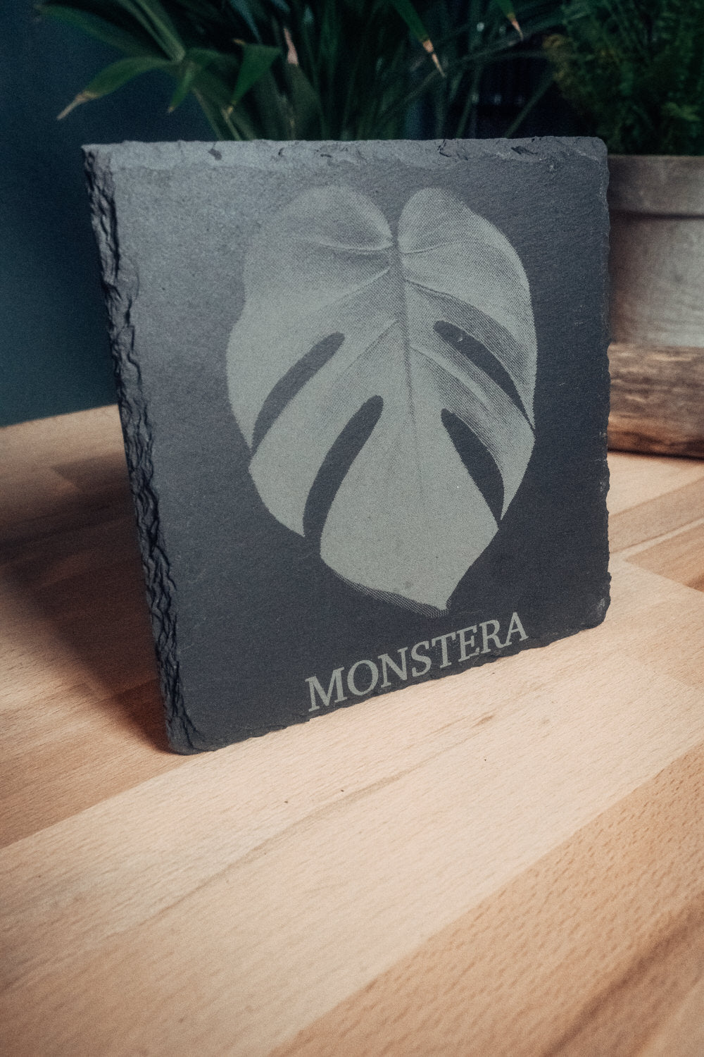 Schieferplatte "MONSTERA" 15x15cm