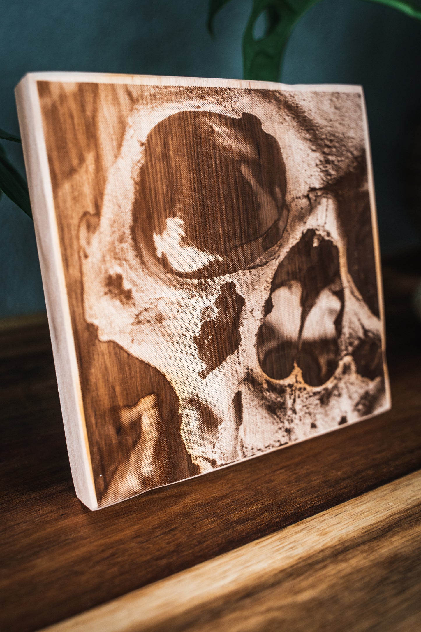 Holzplatten “SKULL" 15x15cm oder 22,5x30cm